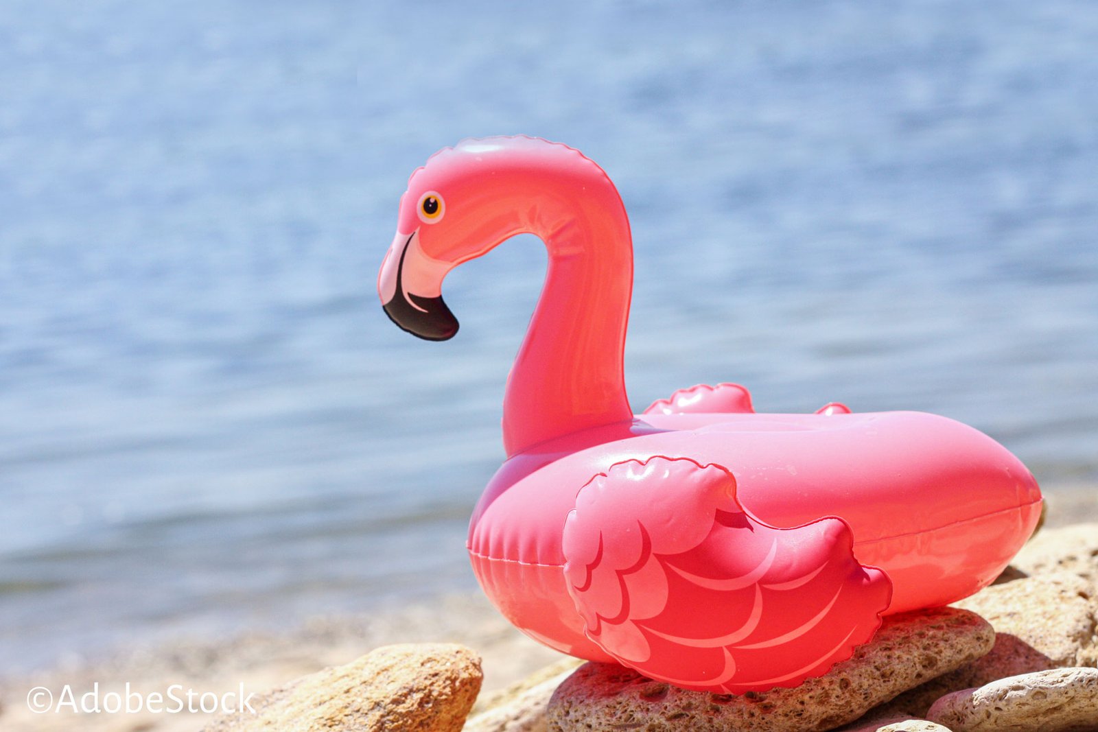 Pink Flamingo Floatie AdobeStock